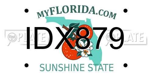 IDX879 Florida License Plate