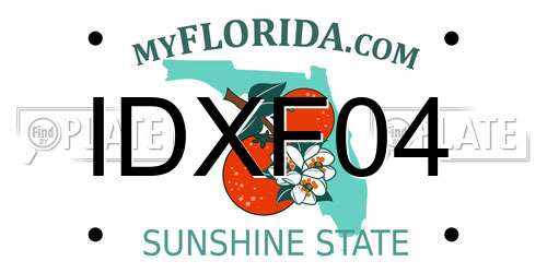 IDXF04 Florida License Plate