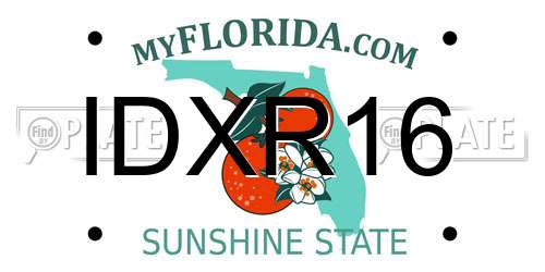 IDXR16 Florida License Plate