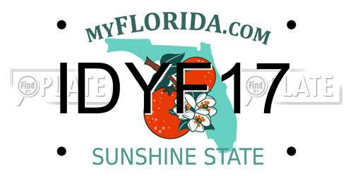 IDYF17 Florida License Plate