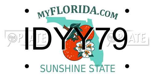 IDYY79 Florida License Plate