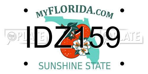 IDZ159 Florida License Plate