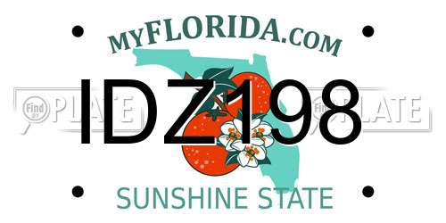 IDZ198 Florida License Plate