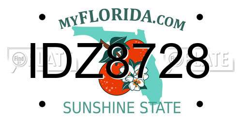 IDZ8728 Florida License Plate