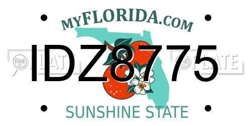 IDZ8775 Florida License Plate