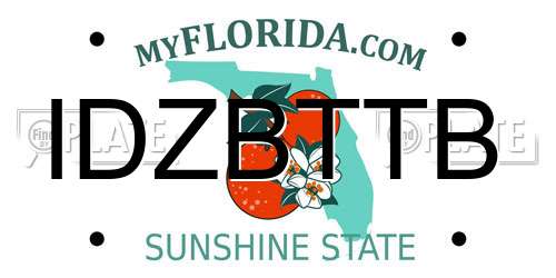 IDZBTTB Florida License Plate