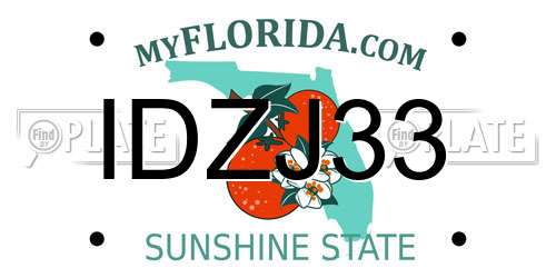 IDZJ33 Florida License Plate