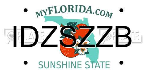 IDZSZZB Florida License Plate