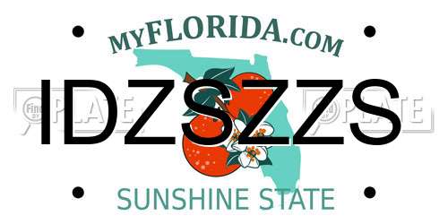 IDZSZZS Florida License Plate