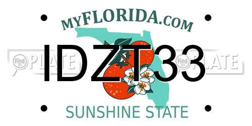 IDZT33 Florida License Plate