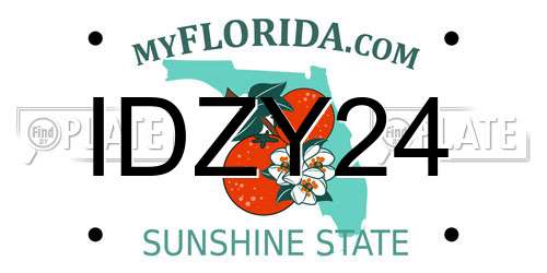 IDZY24 Florida License Plate