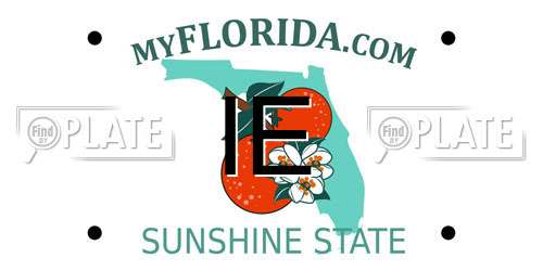 IE Florida License Plate
