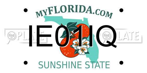 IE01IQ Florida License Plate