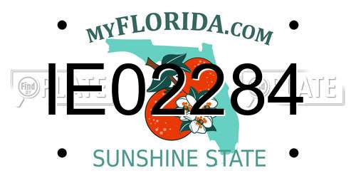 IE02284 Florida License Plate