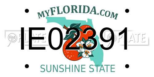 IE02391 Florida License Plate