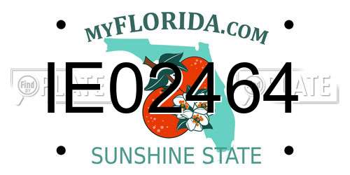 IE02464 Florida License Plate