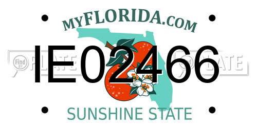 IE02466 Florida License Plate