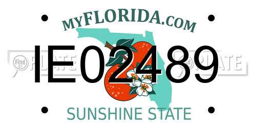 IE02489 Florida License Plate
