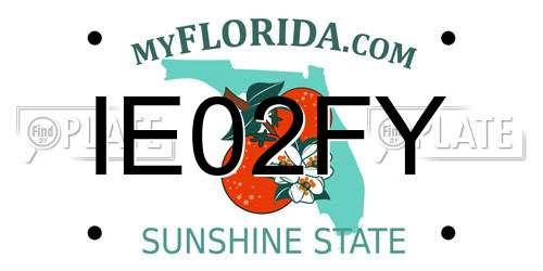 IE02FY Florida License Plate