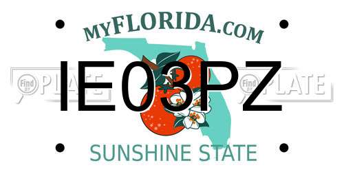 IE03PZ Florida License Plate