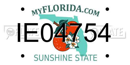 IE04754 Florida License Plate