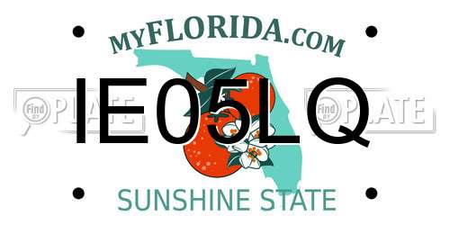 IE05LQ Florida License Plate