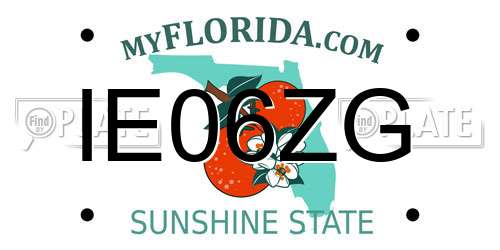 IE06ZG Florida License Plate