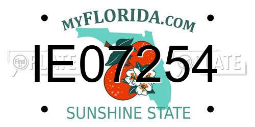 IE07254 Florida License Plate