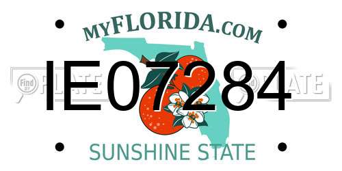 IE07284 Florida License Plate
