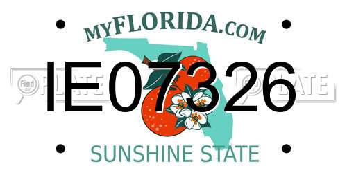IE07326 Florida License Plate