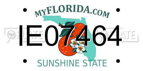 IE07464 Florida License Plate