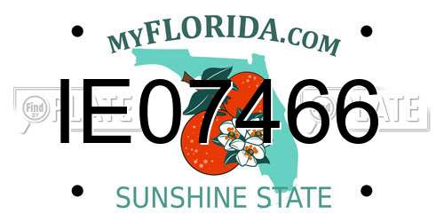 IE07466 Florida License Plate
