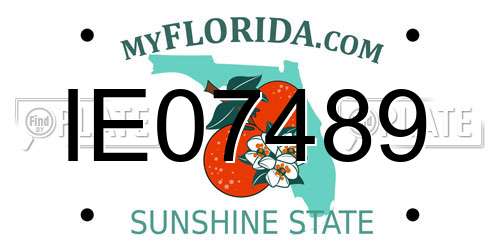 IE07489 Florida License Plate