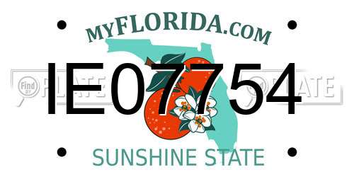 IE07754 Florida License Plate