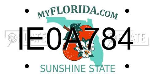 IE0A784 Florida License Plate
