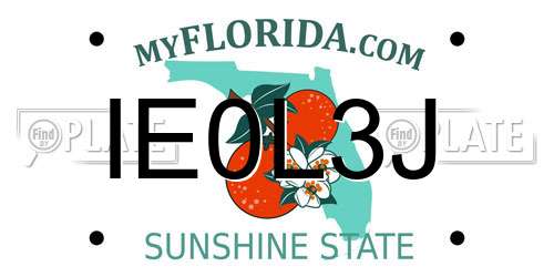 IE0L3J Florida License Plate