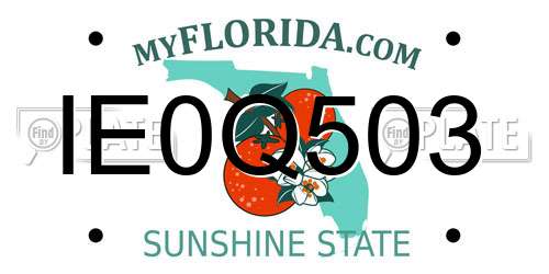 IE0Q503 Florida License Plate