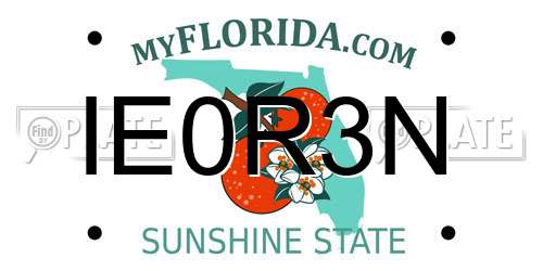 IE0R3N Florida License Plate