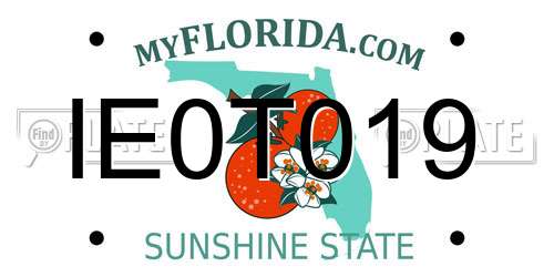 IE0T019 Florida License Plate