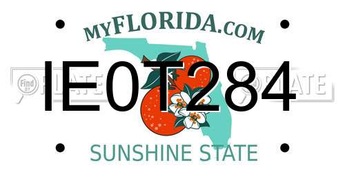 IE0T284 Florida License Plate