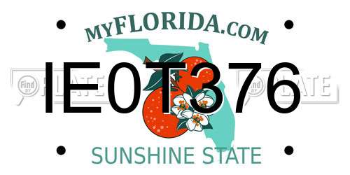 IE0T376 Florida License Plate
