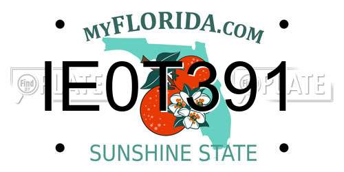 IE0T391 Florida License Plate