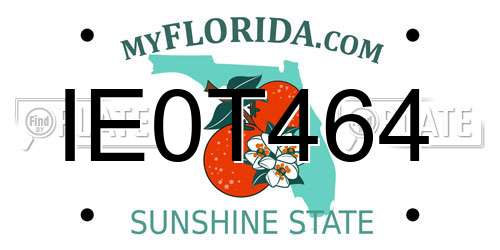 IE0T464 Florida License Plate