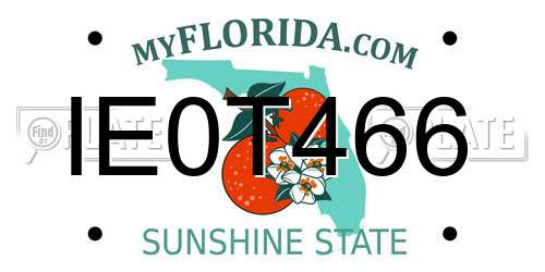 IE0T466 Florida License Plate