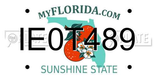 IE0T489 Florida License Plate