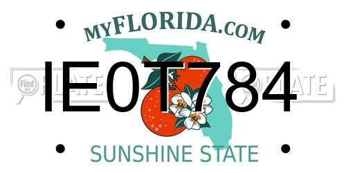 IE0T784 Florida License Plate