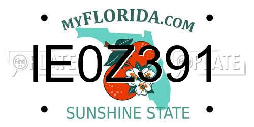 IE0Z391 Florida License Plate