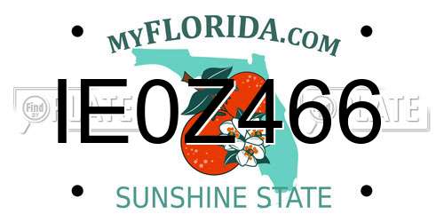 IE0Z466 Florida License Plate