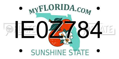 IE0Z784 Florida License Plate