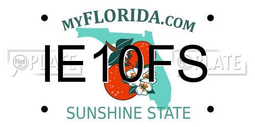 IE10FS Florida License Plate